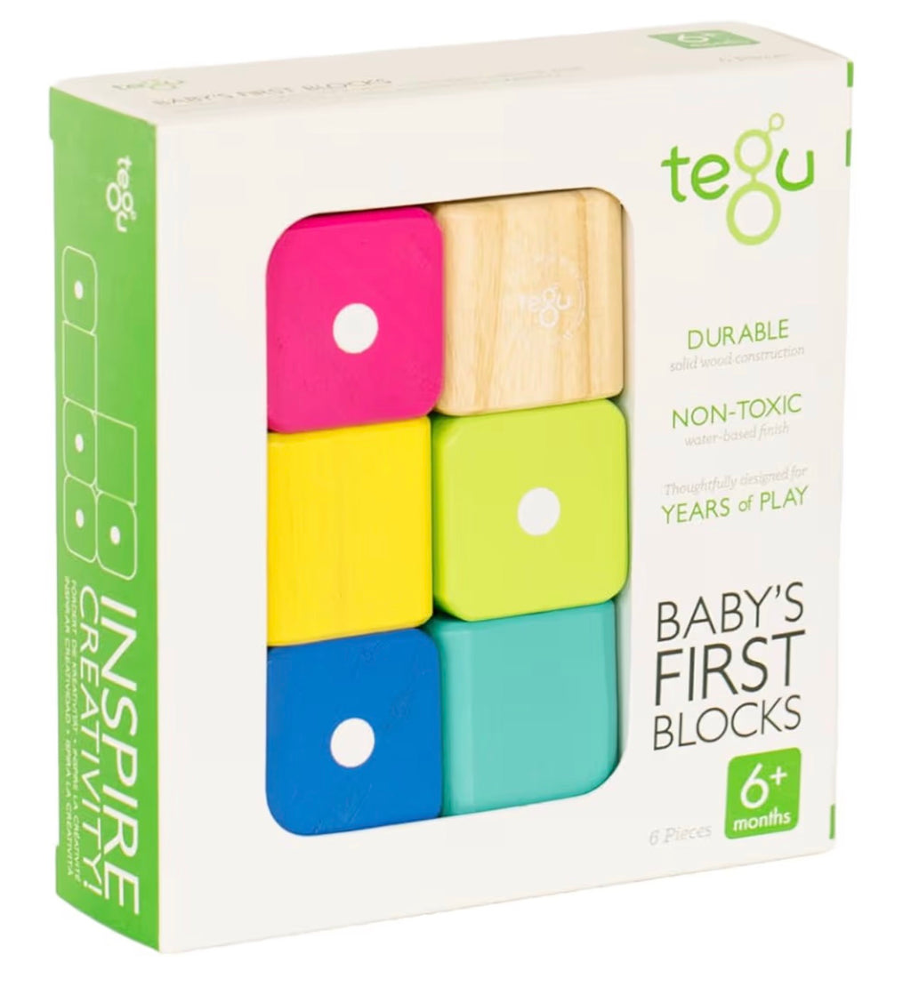 Tegu Baby's First Blocks - Primeros Bloques Magnéticos